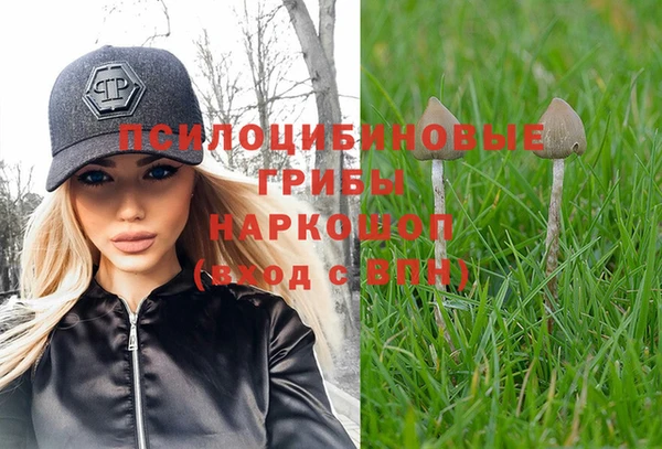 мяу мяу мука Волоколамск