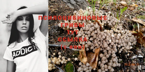 соль курить ск Верея