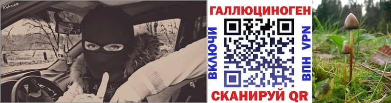Псилоцибиновые грибы Magic Shrooms  Вышний Волочёк 